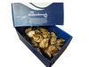 OYSTER 100 CT - CHEBOOKTOOSK CASE LIVE