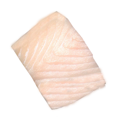 HALIBUT PORTIONS 8oz BY THE CASE 20 PCS